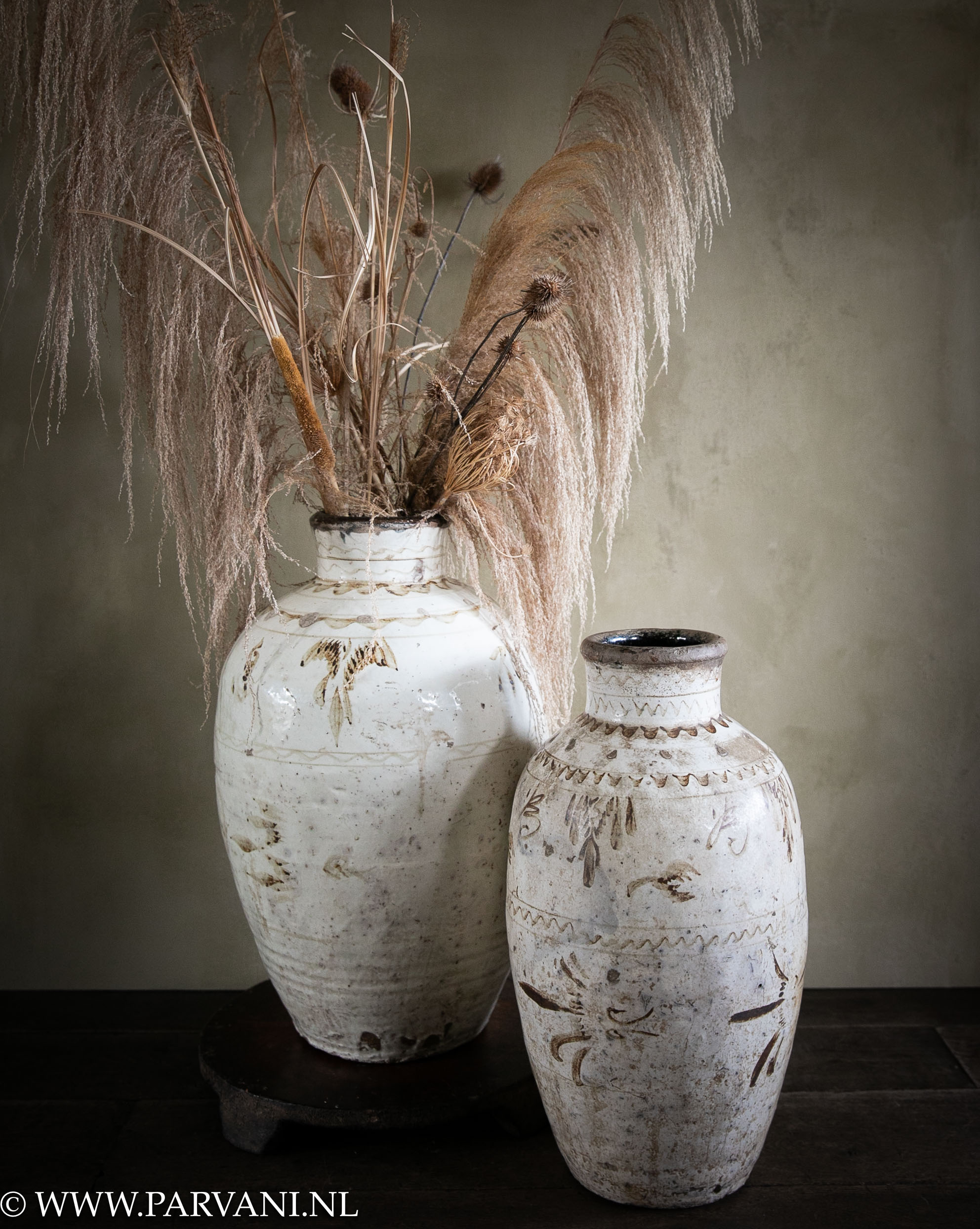 Antieke Chinese Cizhou aardewerk vazen, beige wit met caramel bruine beschildering, met gedroogde pluimen en Masterpiece Tan kalkverf op de muur