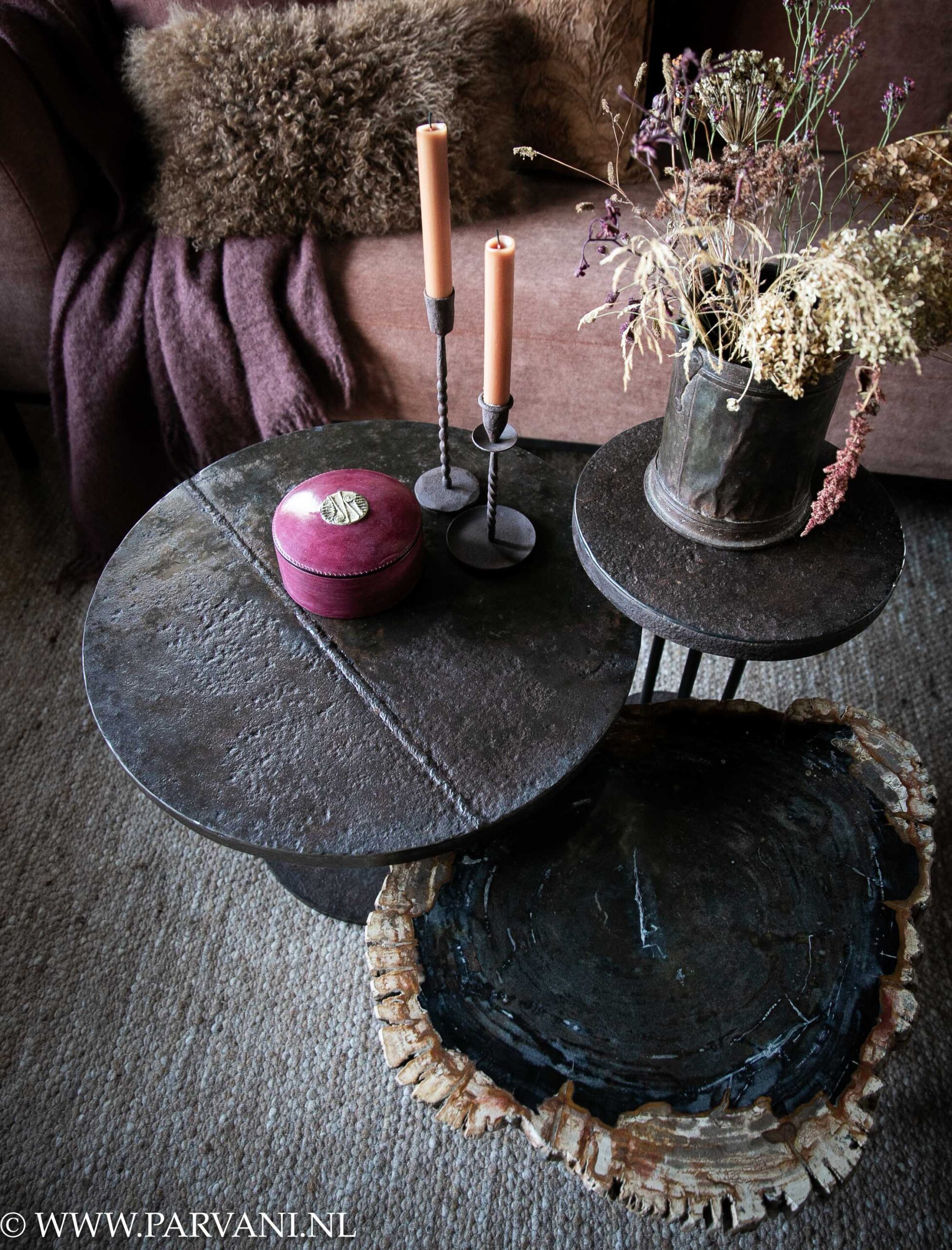 Groepje van 3 verschillende ronde salontafels met ijzeren bijzetters en unieke versteend houten salontafel
